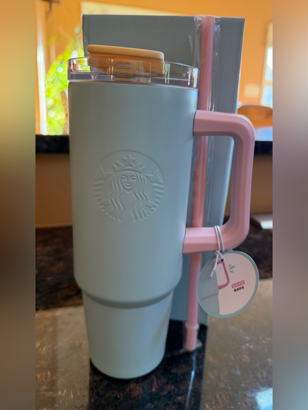 Starbucks 2025 China Pastel Blue & Pink Tumbler with Straw and Handle